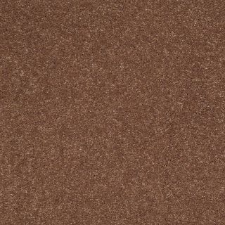 STAINMASTER Trusoft Luscious IV Tuscany Textured Indoor Carpet