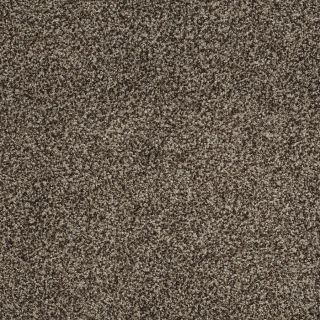 STAINMASTER Trusoft Peaceful Mood II Worn Pewter Textured Indoor Carpet