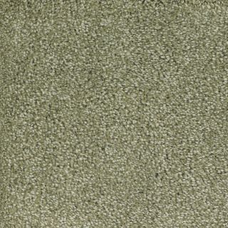 Dixie Group Trusoft Shafer Valley 118 Green Cut Pile Indoor Carpet