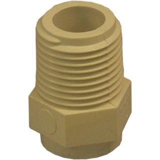 Genova 10 Pack 1/2 in Dia Adapter CPVC Fittings