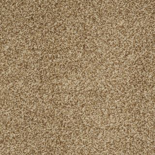STAINMASTER Trusoft Peaceful Mood I Frontier Textured Indoor Carpet