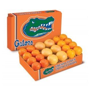 University of Florida Citrus Gift Box Orange  Gourmet Fruit Gifts  Grocery & Gourmet Food