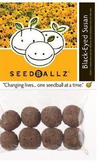 Seedballz Black Eyed Susan   4 Oz, 2 Pack Patio, Lawn & Garden