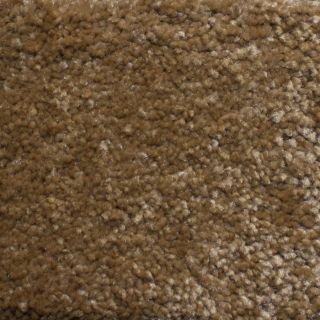 Looptex Mills Rush Landing Beige Cut Pile Indoor Carpet