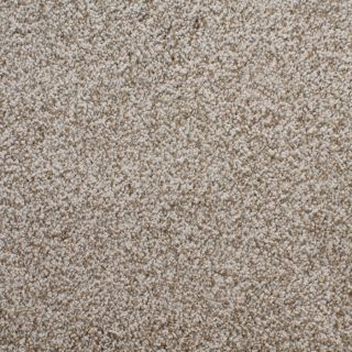 STAINMASTER Active Family Huntington Heights Brown Textured Indoor Carpet