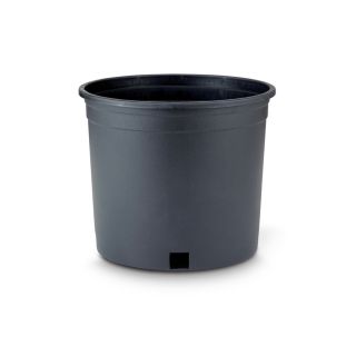 New England Pottery 8 in H x 10 in W x 11.25 in D Black Resin Outdoor Planter