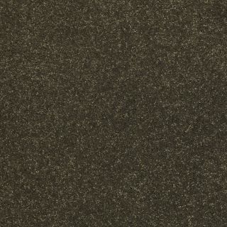 STAINMASTER Trusoft Luscious III Vineyard Textured Indoor Carpet