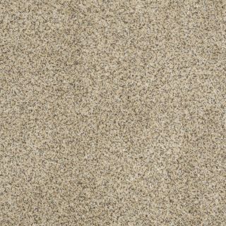 STAINMASTER Trusoft Private Oasis III Bordeaux Textured Indoor Carpet