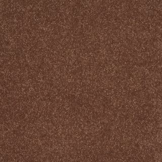 STAINMASTER Trusoft Luscious III Tuscany Textured Indoor Carpet