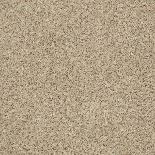 STAINMASTER Trusoft Luscious II Downtown Textured Indoor Carpet