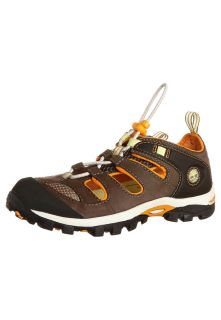 Timberland   HYPETRAIL FISHERMAN   Hiking Sandals   brown