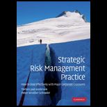Strategic Risk Management Practice