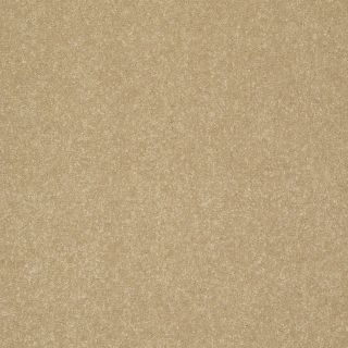 Shaw Intuition I Mustard Seed Textured Indoor Carpet