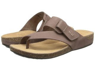 Clarks Perri Coast Womens Shoes (Brown)