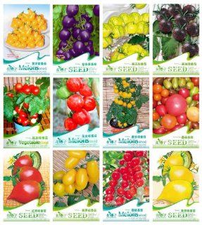 Tomato Seeds 12 Different Variety 2400 Seeds Purple Red Yellow Pear Cherry Tomato  Vegetable Plants  Patio, Lawn & Garden