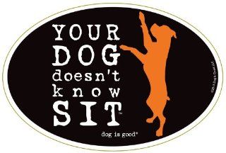 Your Dog Doesn't Know Sit Oval Magnet Automotive