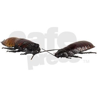 Hissing Cockroach Keychains by cafepets