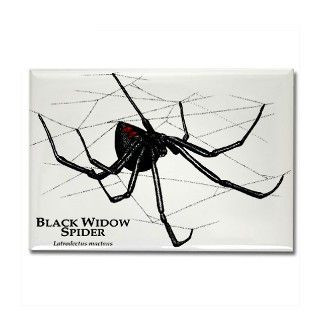 Black Widow Spider Rectangle Magnet by wildlifearts