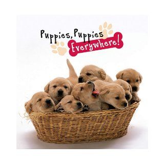 Puppies, Puppies Everywhere (9780824958879) Peggy Schaefer Books