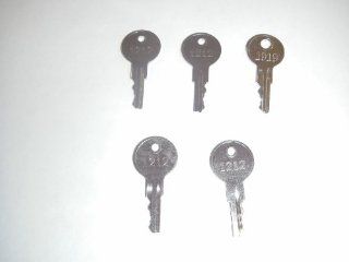 Replacement keys. For use with #2638 and #2670. For E Z GO G&E 1981 up. (5 KEYS).  USA, EXCEPT ALASKA &HAWAII  Golf Carts  Patio, Lawn & Garden