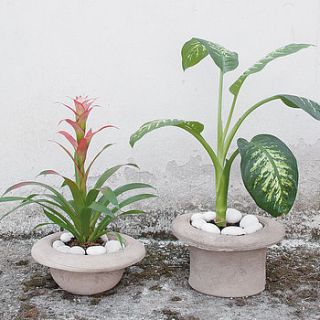 concrete hat planter by out there interiors