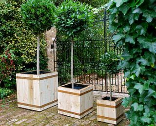 cornwall garden planter by sandman planters