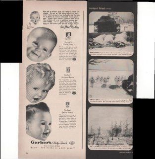 Gerber's Baby Foods From A Few Weeks To A Few Years Cereal Strained Foods Junior Foods 1940 Vintage Antique Advertisement  Prints  