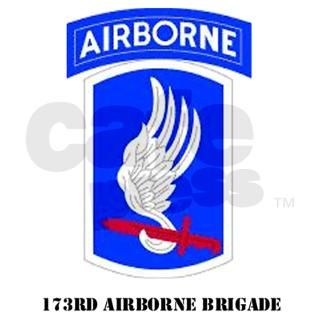 173rd Airborne Brigade Rectangle Decal by hooahjoes
