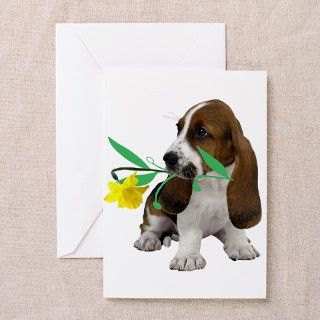 Basset Puppy Carrying Flower Greeting Cards (Pk o by friskybizpets