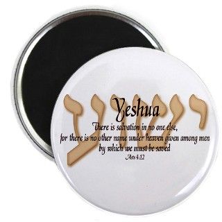 Yeshua Acts 412 Magnet by torah4life