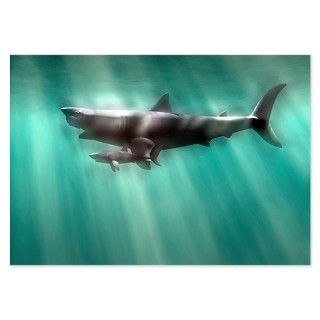 Megalodon shark and great white   Invitations by sciencephotos