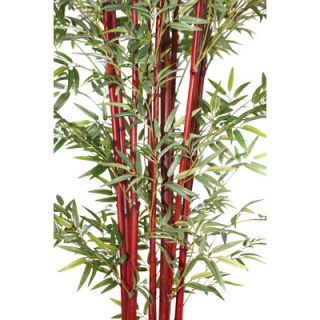 Laura Ashley Home Harvest Bamboo Tree in Pot