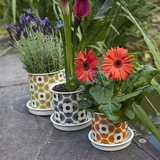 patterned plant pots by i love retro