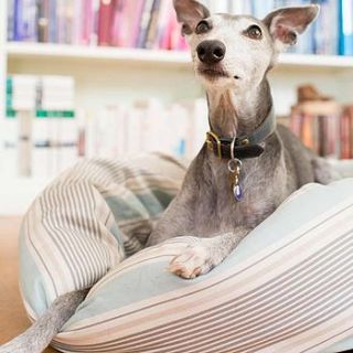 donut dog bed aqua stripe by redhound for dogs