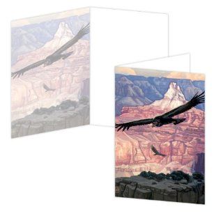 ECOeverywhere Canyon Condor Boxed Card Set, 12 Cards and Envelopes, 4 x 6 Inches, Multicolored (bc12389)  Blank Postcards 