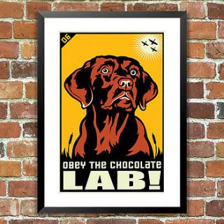 chocolate lab, obey dog print, for pet lovers by the animal gallery