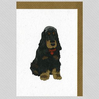 illustrated spaniel blank card by illustrated cards