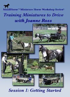 Training Miniature Horses to Drive Disk 1 Getting Started Charlene Nelson, Summer Sayles, Joanne Ross, Toni Leland Movies & TV