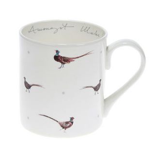 'amongst males' pheasant and dot china mug by sophie allport