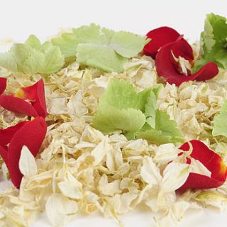 christmas confetti by shropshire petals