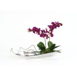 distinctive designs silk orchids in tray