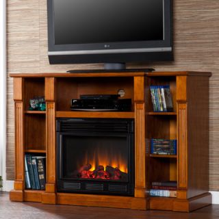 Wildon Home ® Caswell 52 TV Stand with Electric Fireplace WF_839E Finish Gl