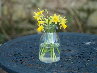 little glass jug by drift living