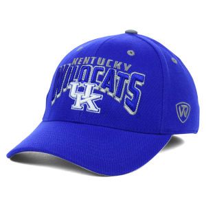 Kentucky Wildcats Top of the World NCAA Fearless Adjustable Cap
