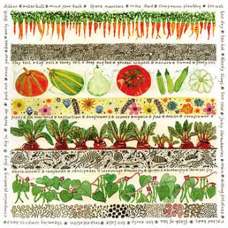 vegetable patch card by fiona willis artwork