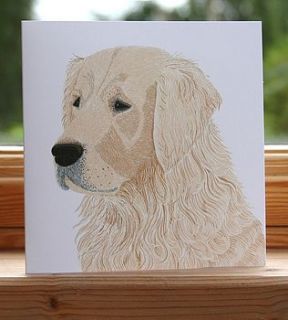 'golden retriever' dog card by bird
