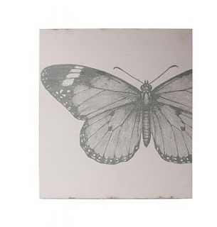 butterfly wall art picture by redpaperstar