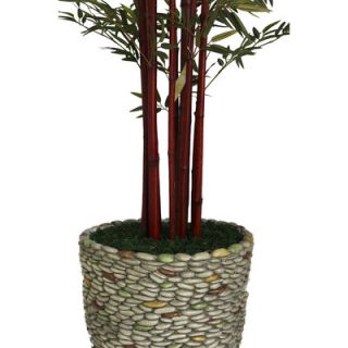 Laura Ashley Home Tall Harvest Bamboo Tree in Planter