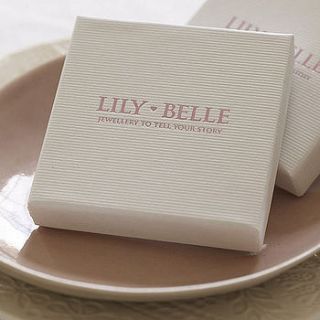 lily belle maintenance service by lily belle