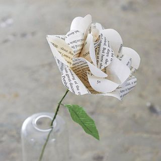 literary paper rose by bookish england